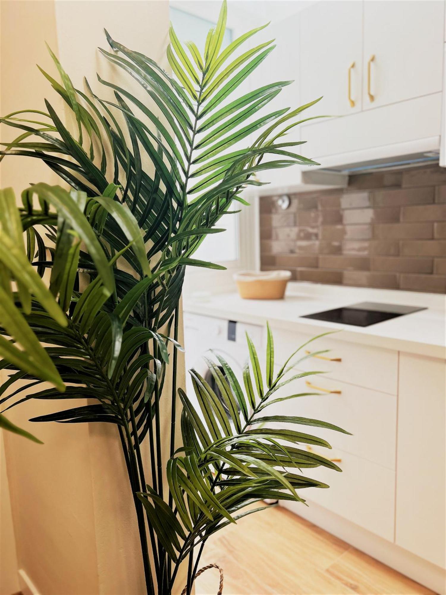 Apartamentos Pepita San Sebastián de la Gomera Eksteriør bilde